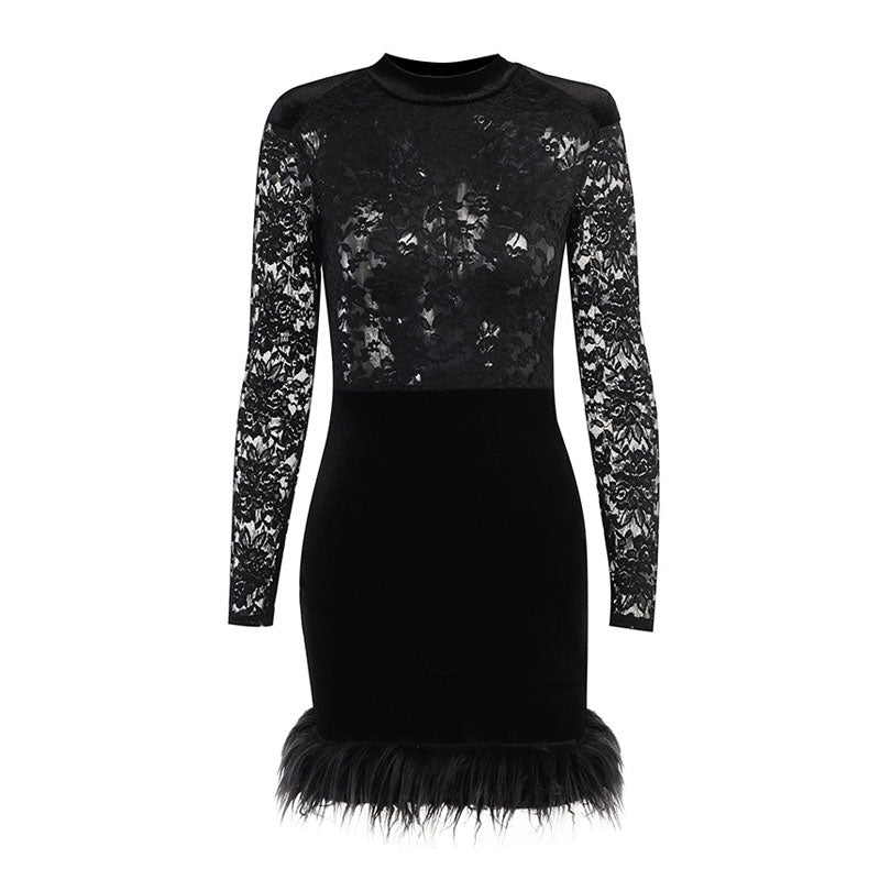 High Neck Long Sleeve Floral Lace Panel Trim Mini Dress - Black