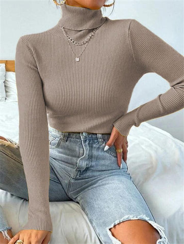 Turtleneck Ribbed Knit Sweater