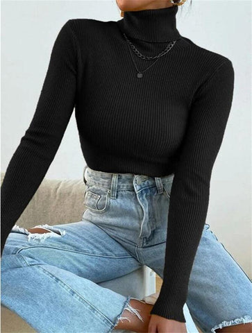 Turtleneck Ribbed Knit Sweater